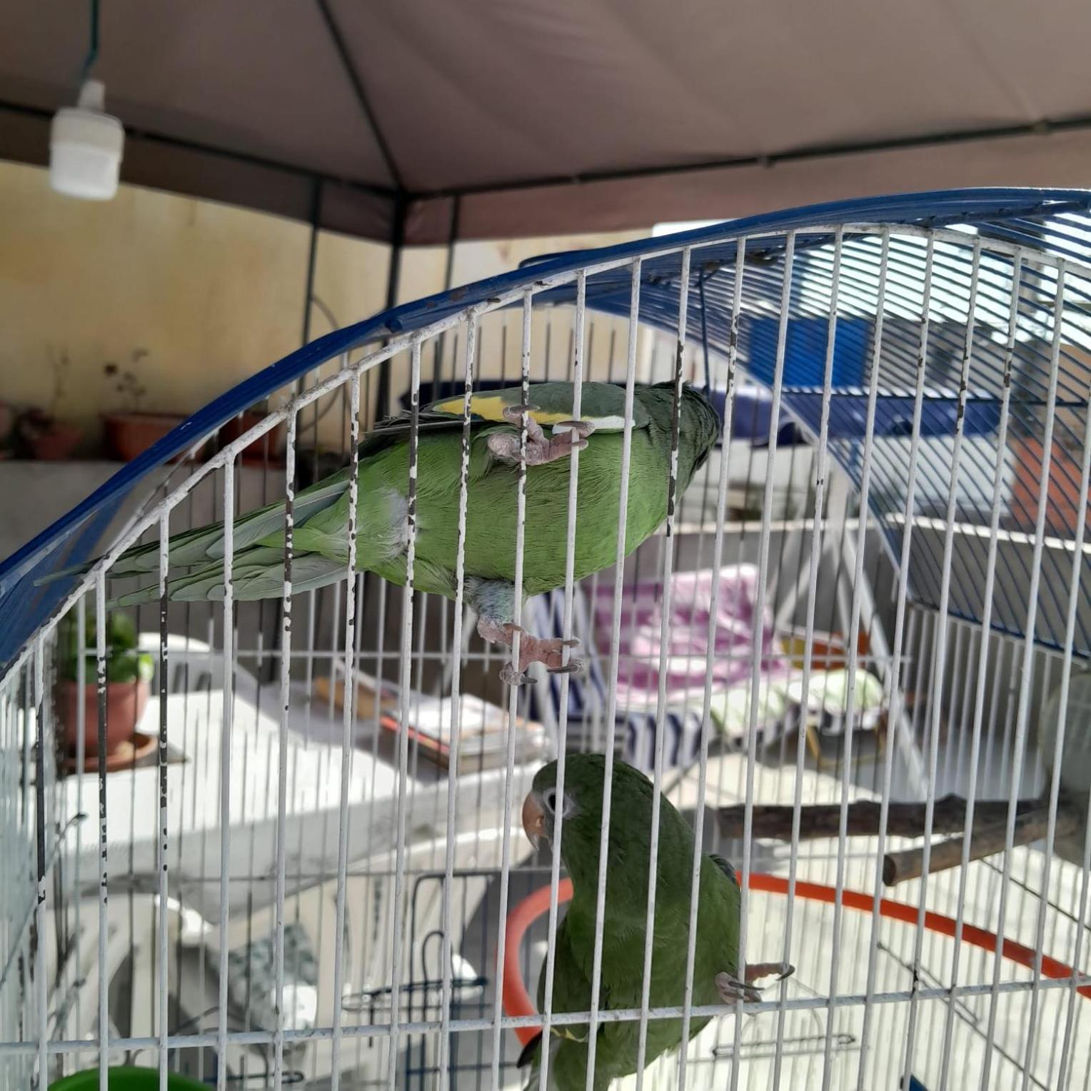 Hotel Akao House Arequipa Zewnętrze zdjęcie