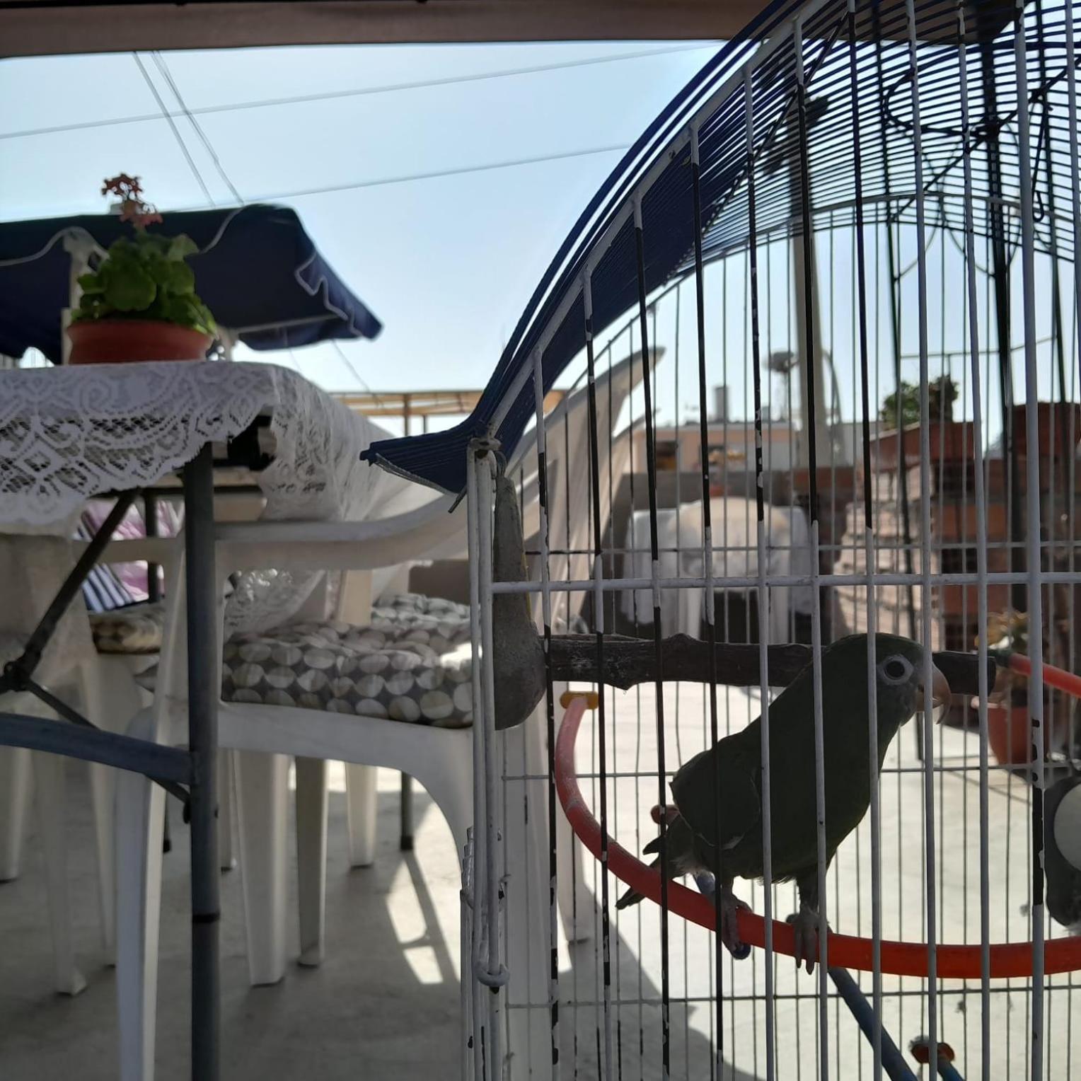 Hotel Akao House Arequipa Zewnętrze zdjęcie